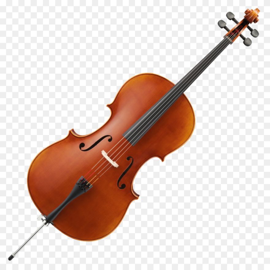 Cello Tuner Simple On The - Cello