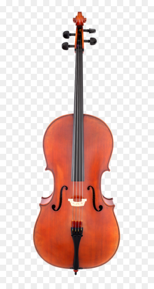 Scherl & Roth Sr75E Advanced - Cello