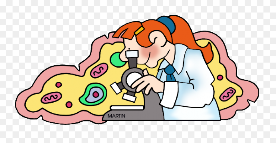 Free Cell Cliparts, Download Free C