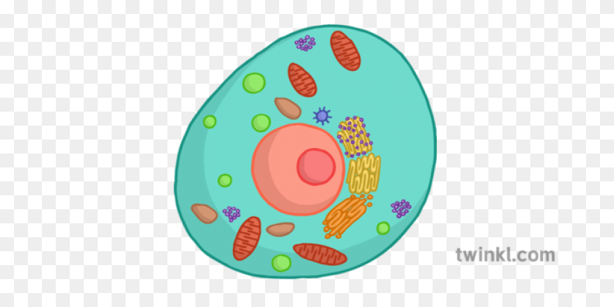 Free Cell Cliparts, Download Free C