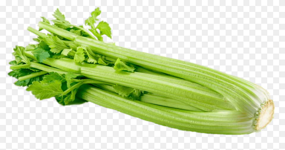 Celery Vegetable Flat #ad , #paid, 