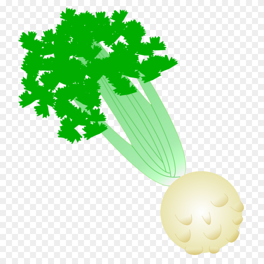 Celery Vegetable Flat #ad , #paid, 