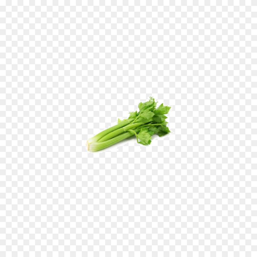 Celery Vegetable Flat #ad , #paid, 