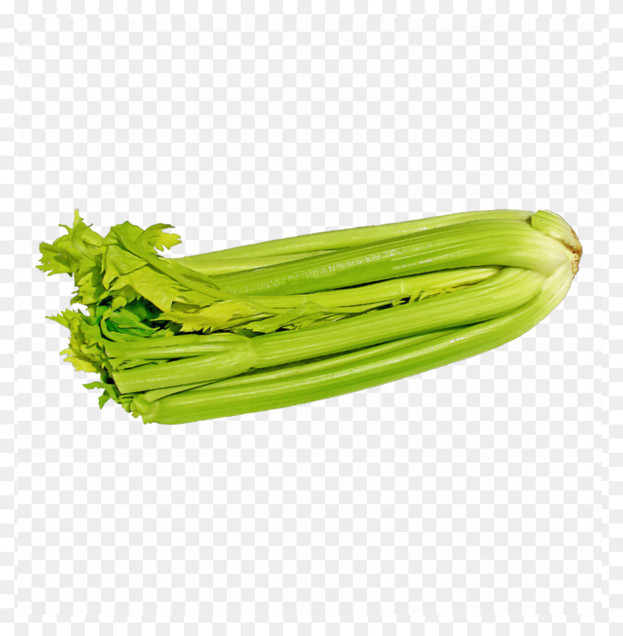 Celery Vegetable Flat #ad , #paid, 
