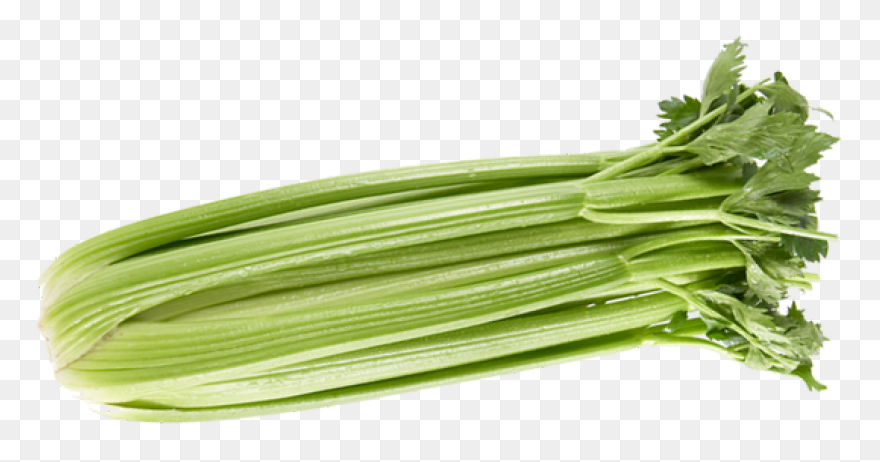 Celery Vegetable Flat #ad , #paid, 