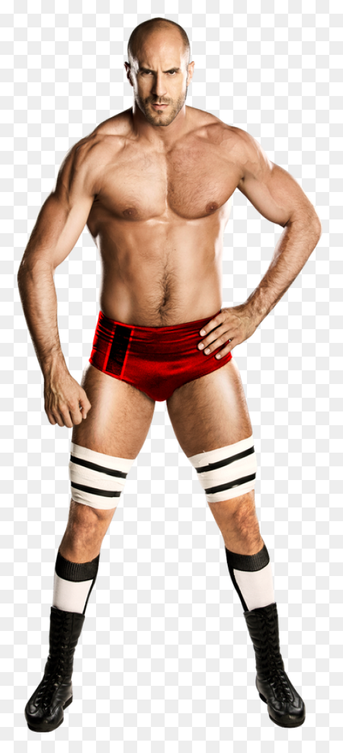 Wwe Abs : #24 Cesaro By Nuruddinayo
