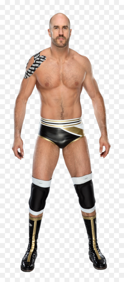 Wwe Abs : #24 Cesaro By Nuruddinayo
