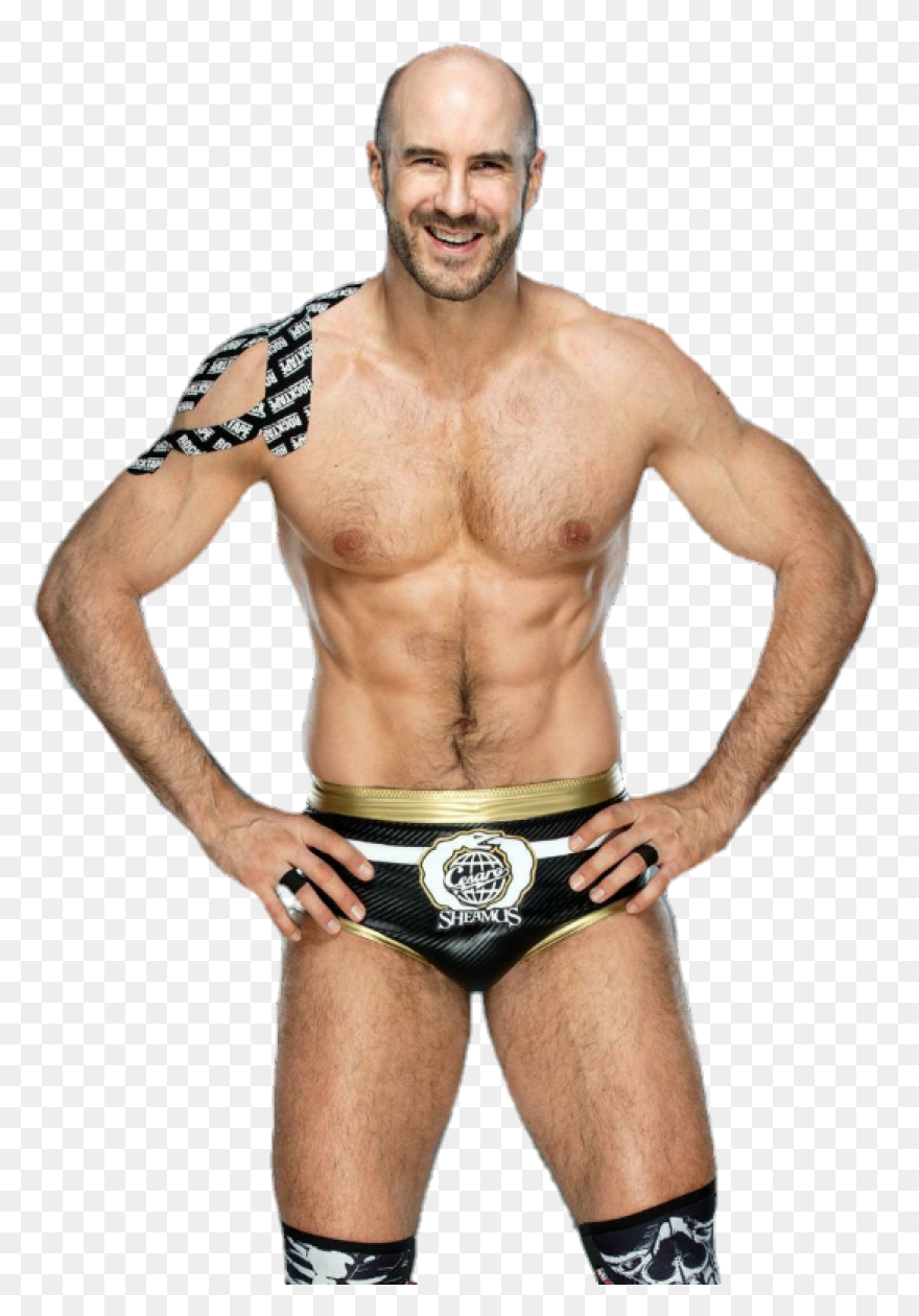 Wwe Abs : #24 Cesaro By Nuruddinayo