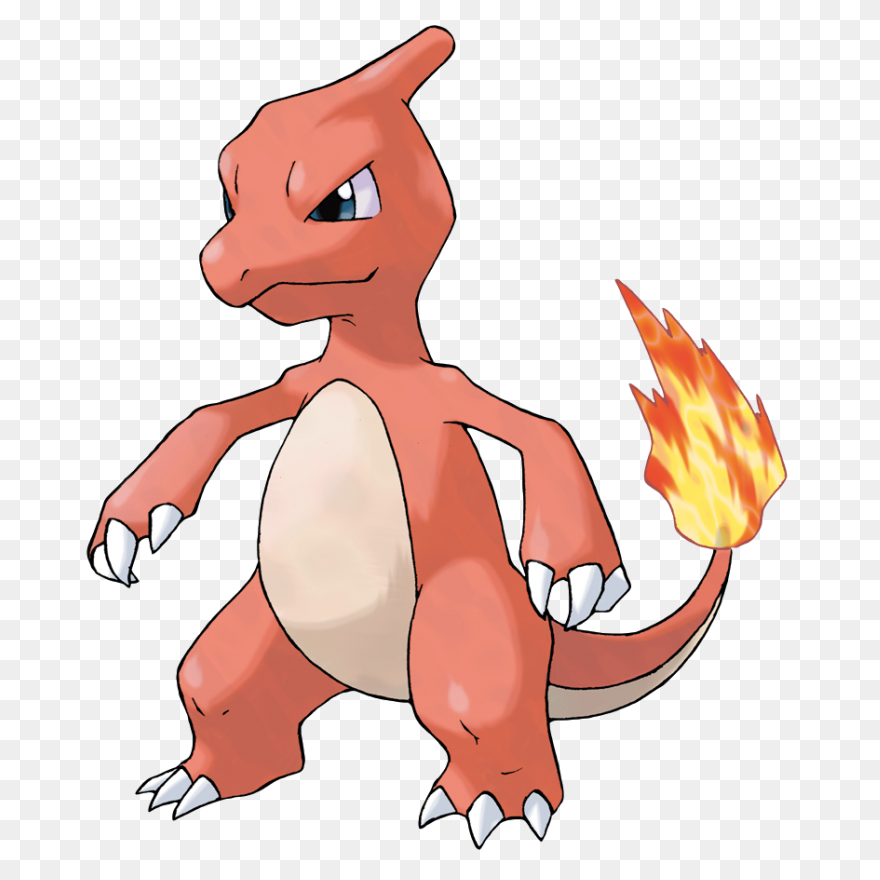 Charmander | Pokemon Charizard, Pok