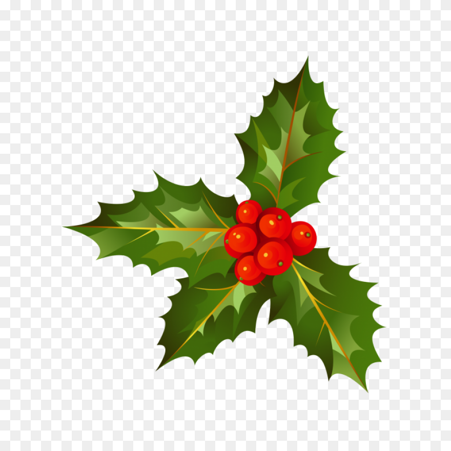 Holly Christmas | Png All - Christmas Transparent