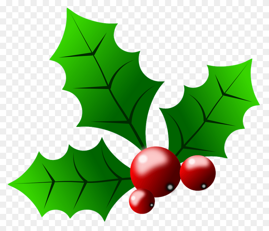 Christmas Holly Design - Free Clip 