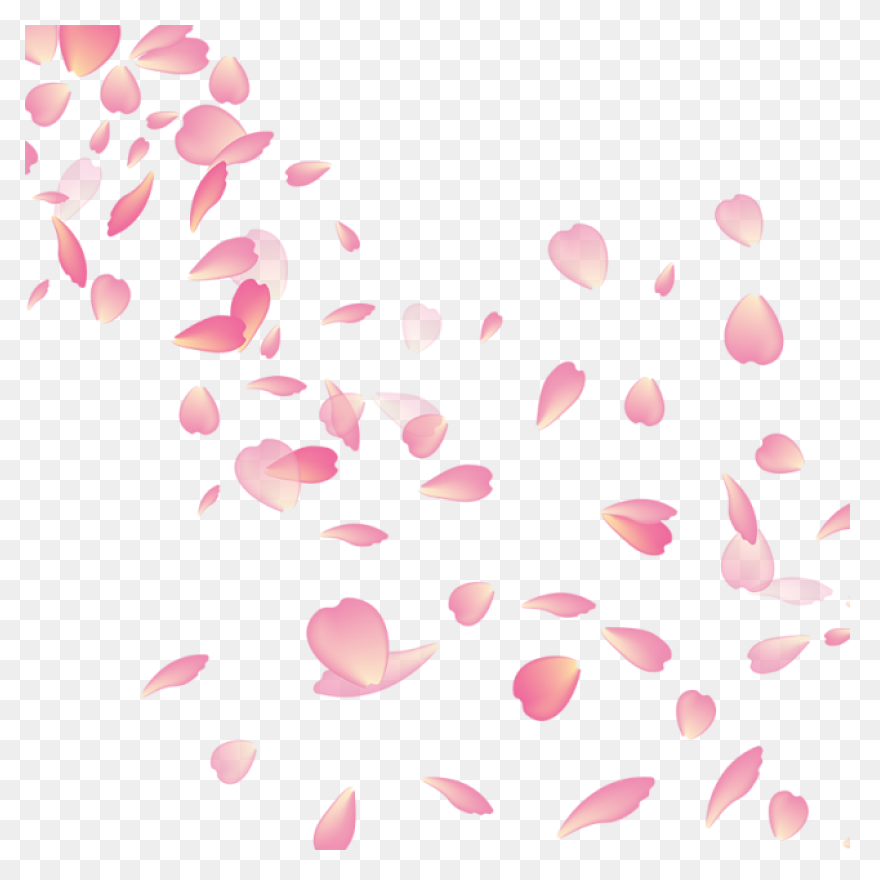 Vector Cherry Blossom In Spring, Ch