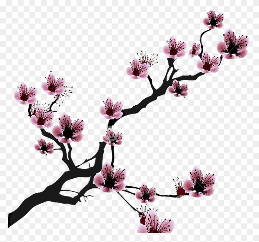 Vector Cherry Blossom In Spring, Ch