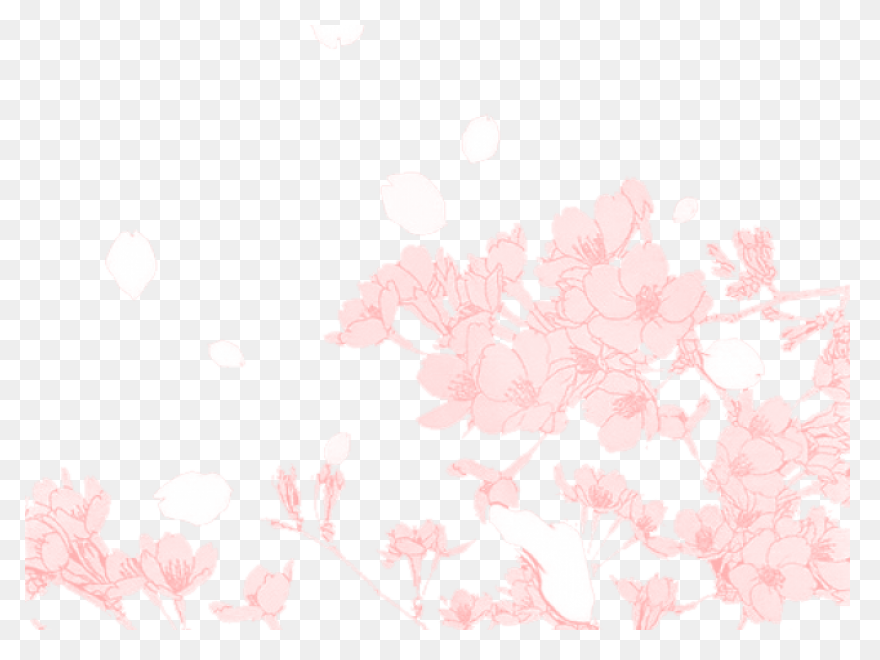 Vector Cherry Blossom In Spring, Ch