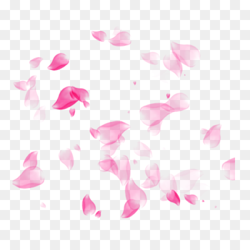 Vector Cherry Blossom In Spring, Ch