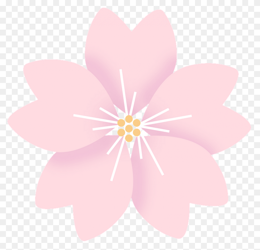 Vector Cherry Blossom In Spring, Ch