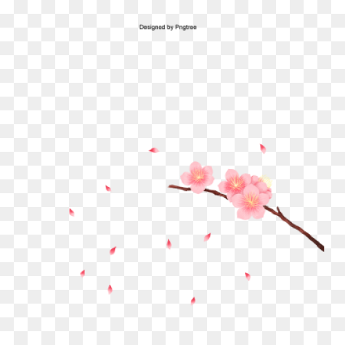 Vector Cherry Blossom In Spring - Cherry Blossom Petals