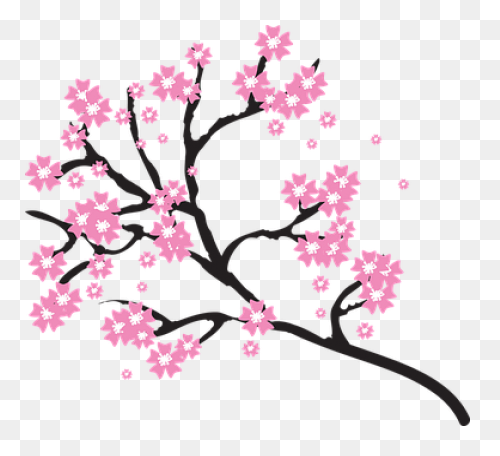 Blooming Cherry Tree, Cherry Blosso