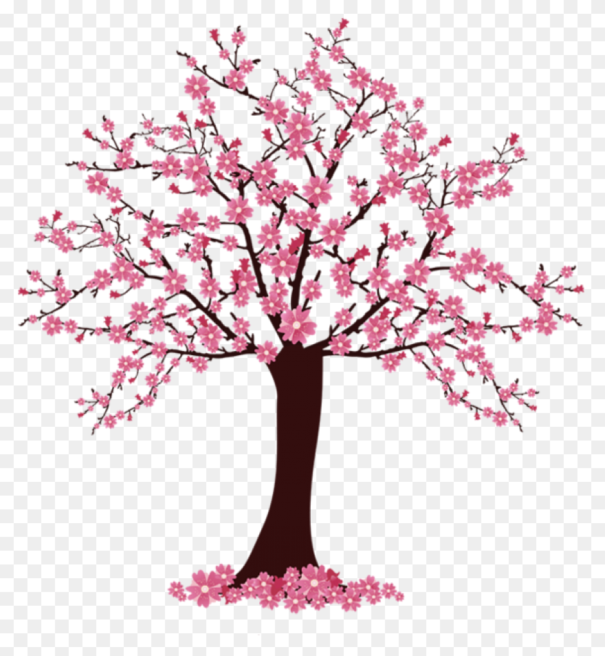 Blooming Cherry Tree, Cherry Blosso