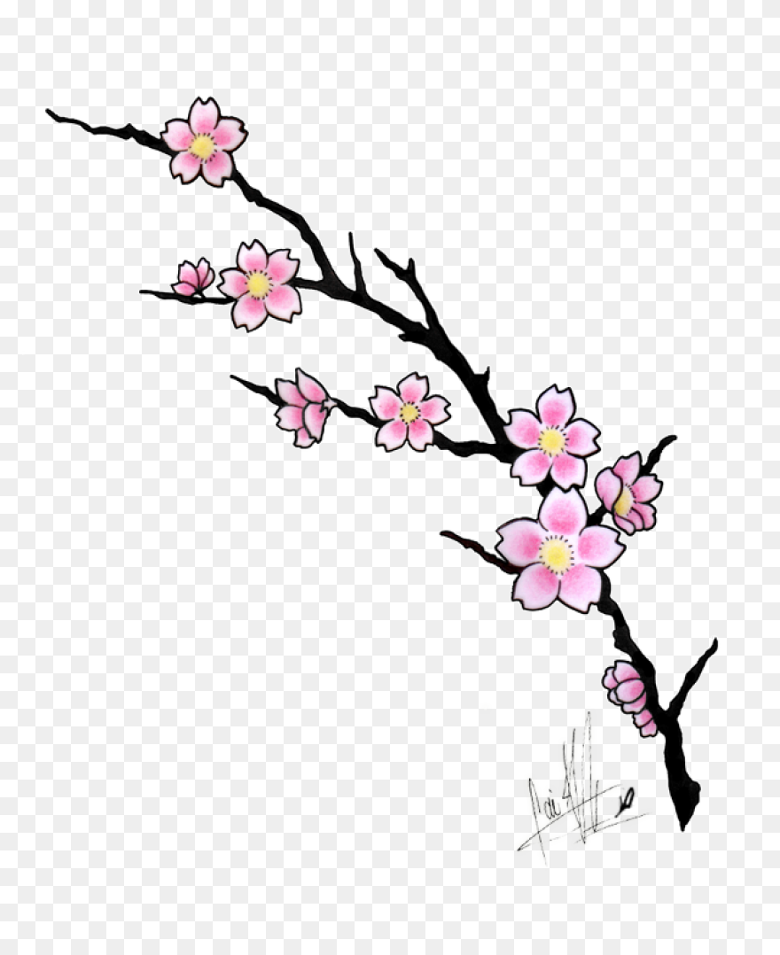 Blooming Cherry Tree, Cherry Blosso