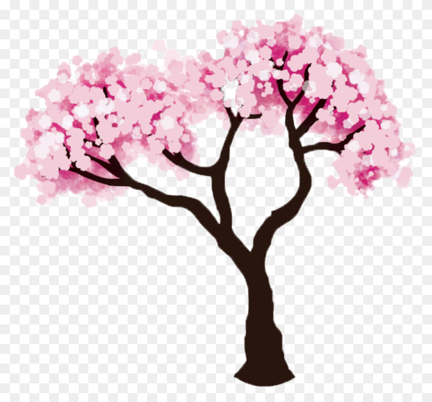 Cherry Tree Clipart Cherry Blossom - Cherry Blossom Tree