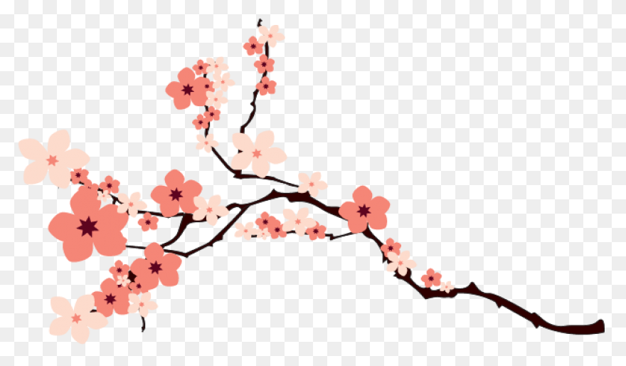 Blooming Cherry Tree, Cherry Blosso