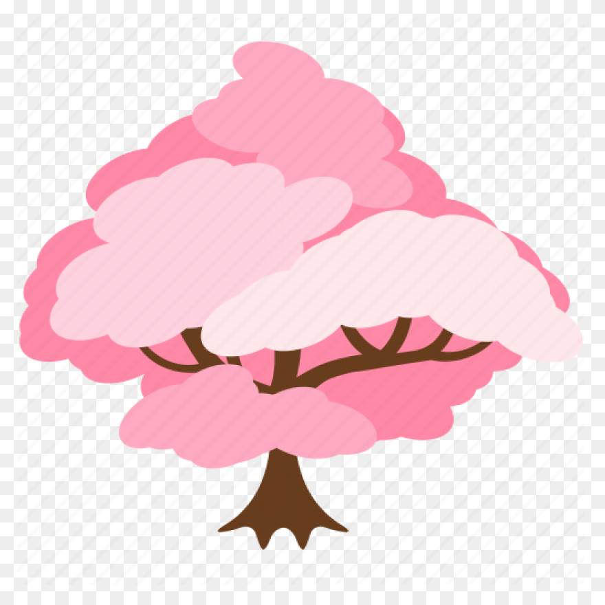 Blooming Cherry Tree, Cherry Blosso
