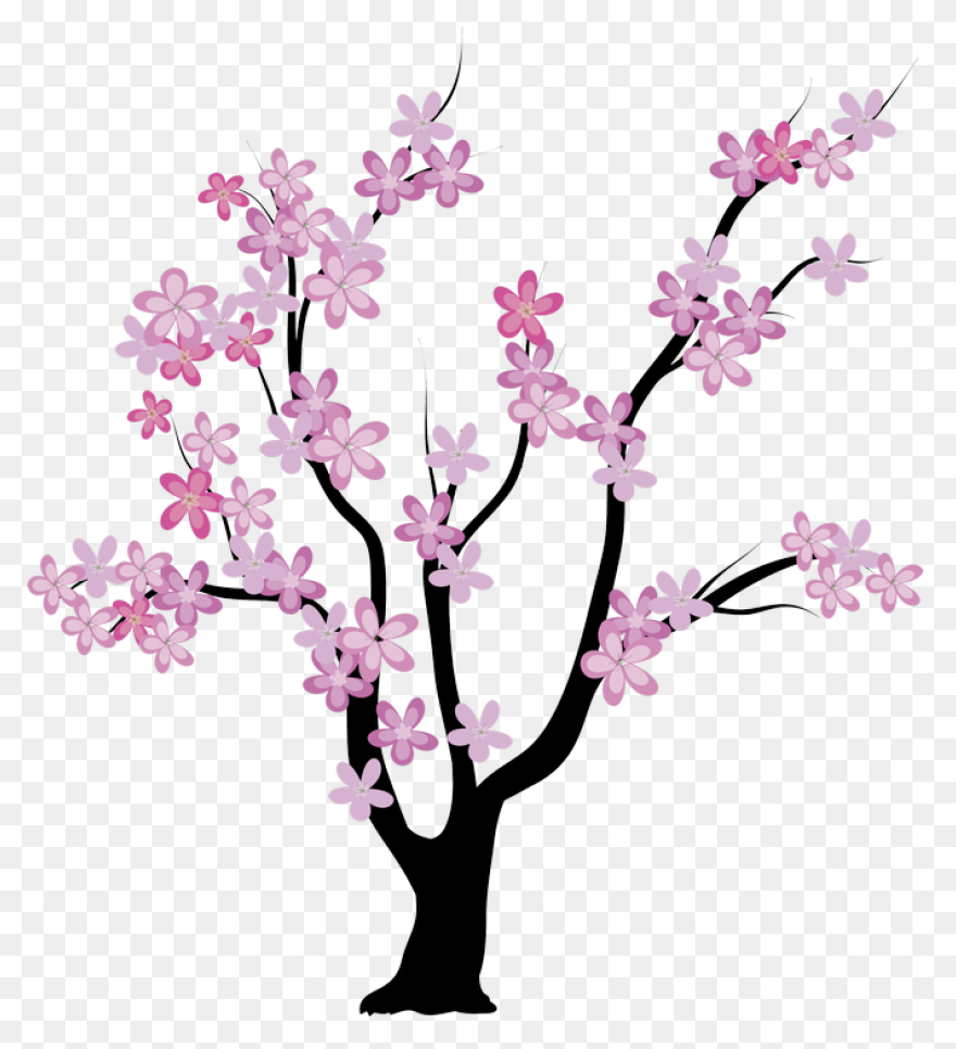 Blooming Cherry Tree, Cherry Blosso