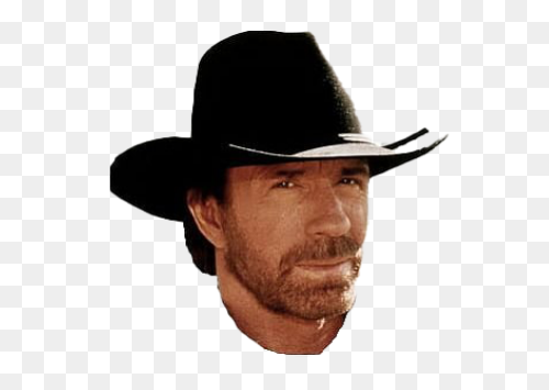 Chuck Norris | The Microsoft Sam Jr