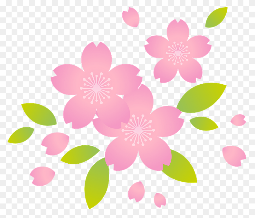 Cartoon Cherry Blossom Branch Clipa
