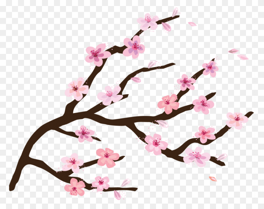 Cartoon Cherry Blossom Branch Clipart - Cherry Blossom