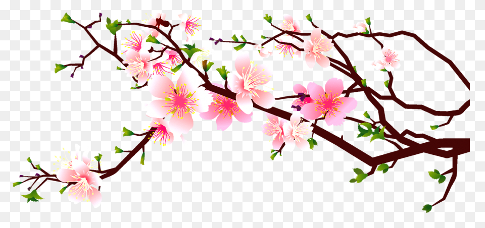 Cartoon Cherry Blossom Branch Clipa