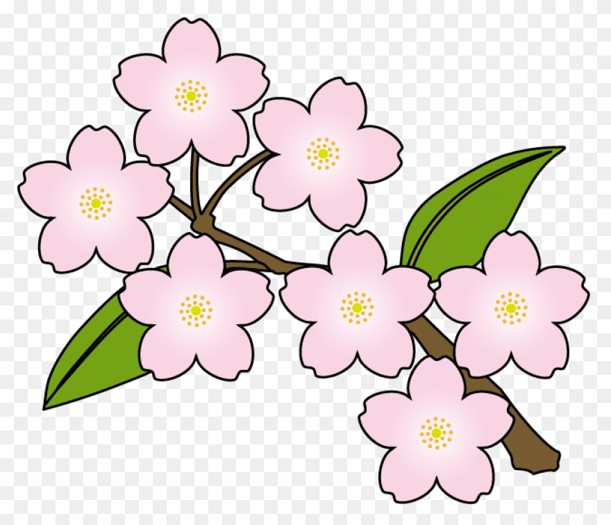Cartoon Cherry Blossom Branch Clipa