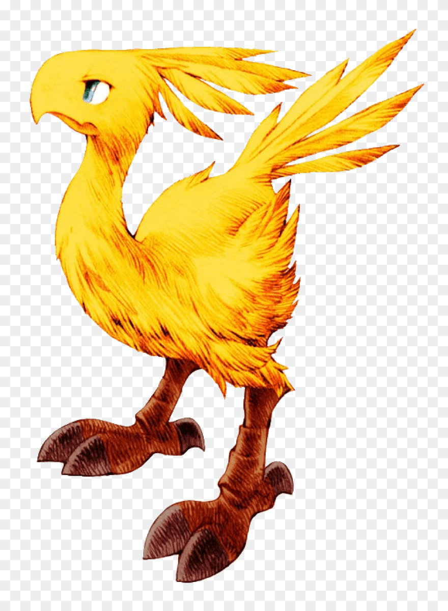 Download Chocobo Drawing Moogle Pic