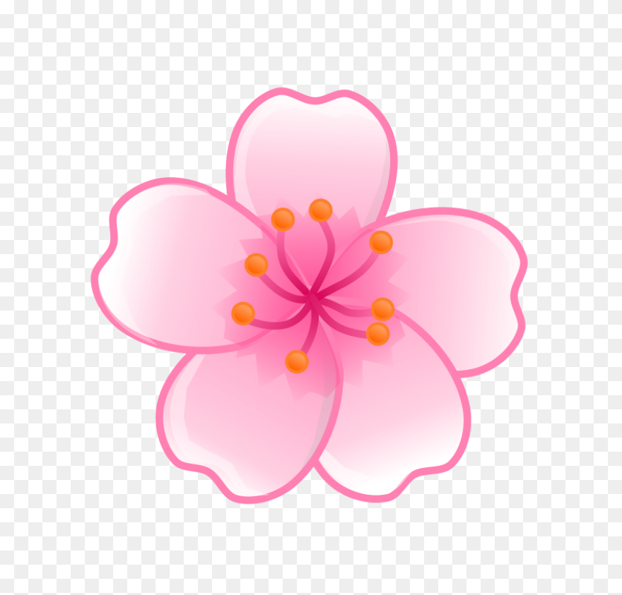 Japanese Cherry Blossom Background Drawing - Cherry Blossom Flower