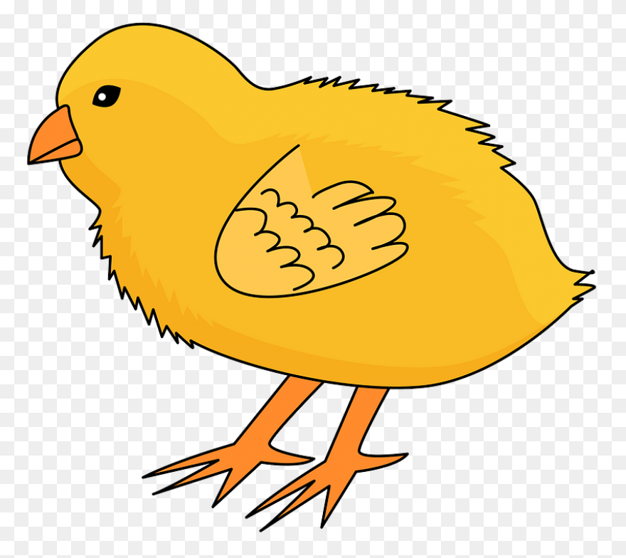 Chick | Owo Bot Wiki | ClipartFlare
