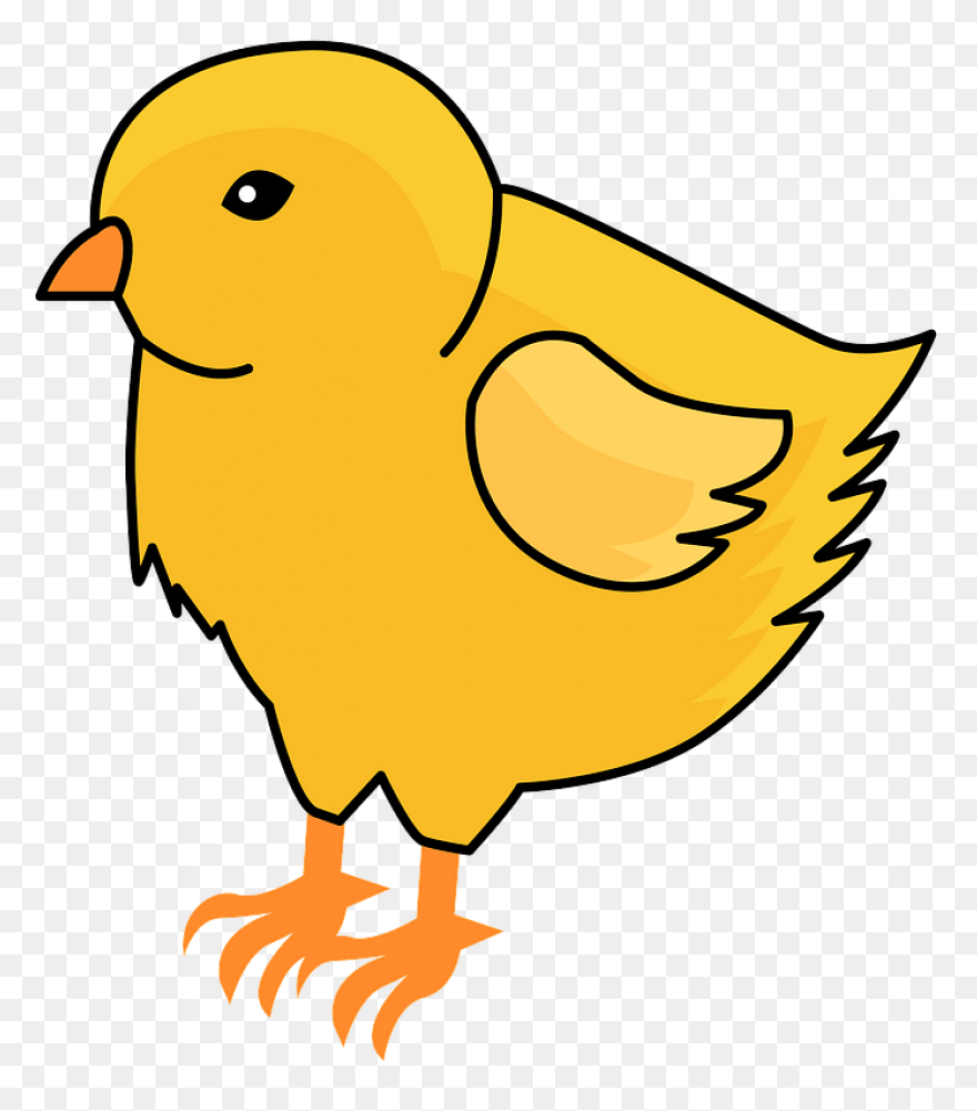 Chick | Owo Bot Wiki | ClipartFlare