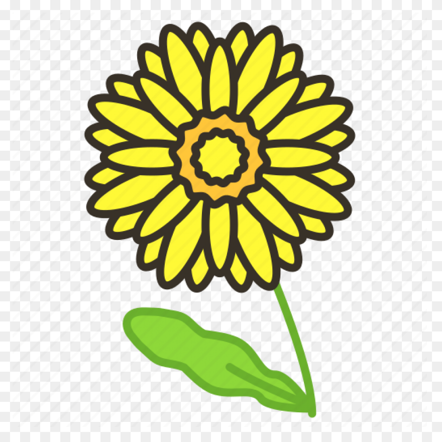 Vector Chrysanthemum Clipart - Full