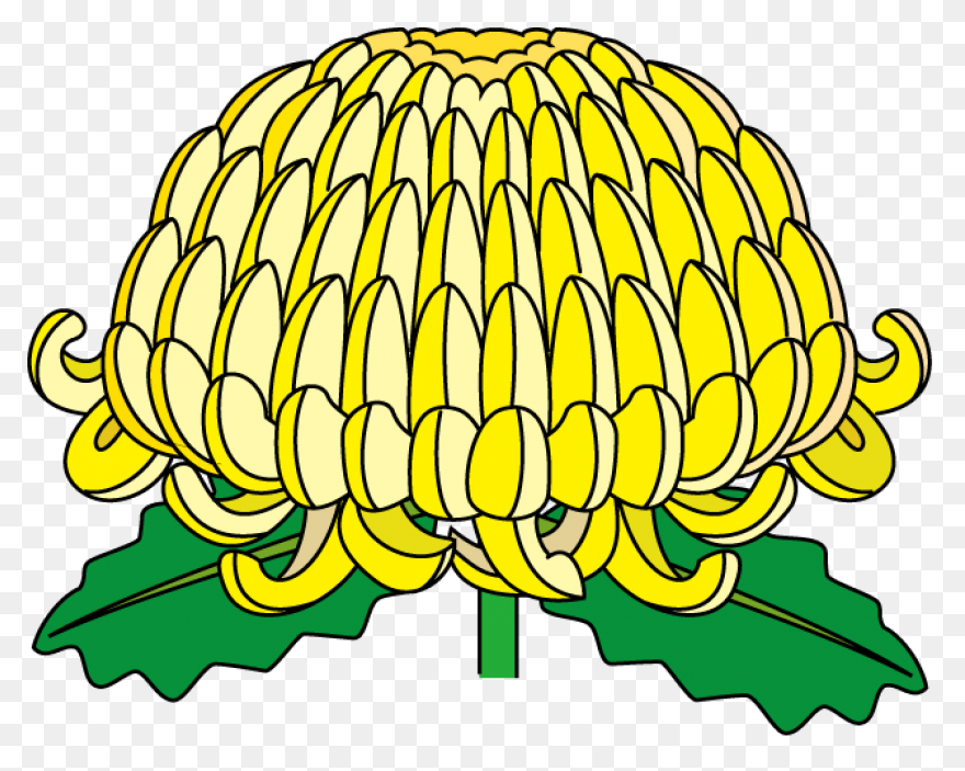 Vector Chrysanthemum Clipart - Full