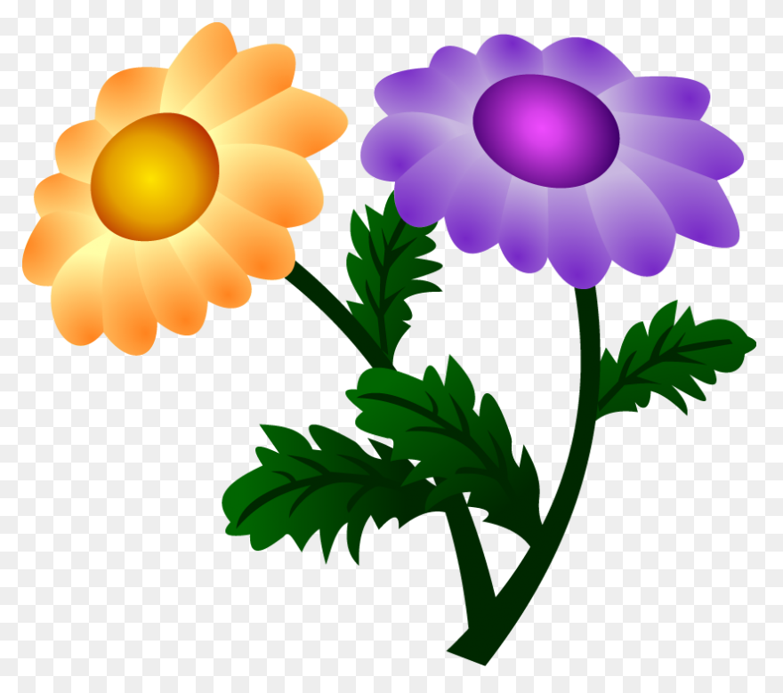 Vector Chrysanthemum Clipart Full Size - Chrysanthemum