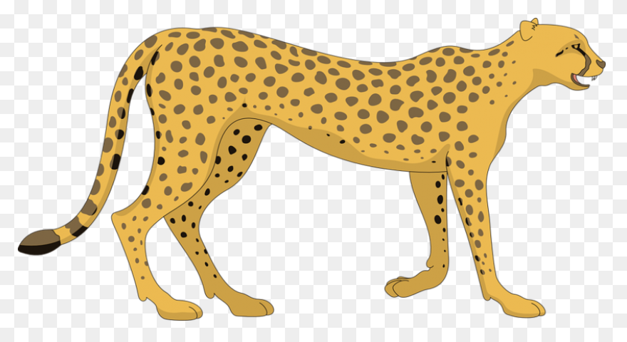 Fursona Pins - Cheetah Asexual