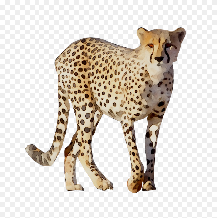 Fursona Pins - Cheetah Asexual