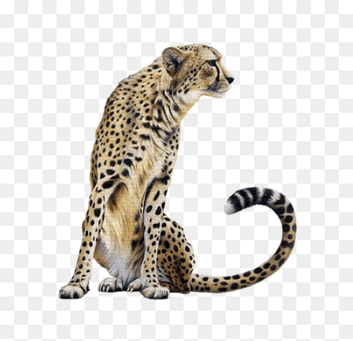Fursona Pins - Cheetah Asexual