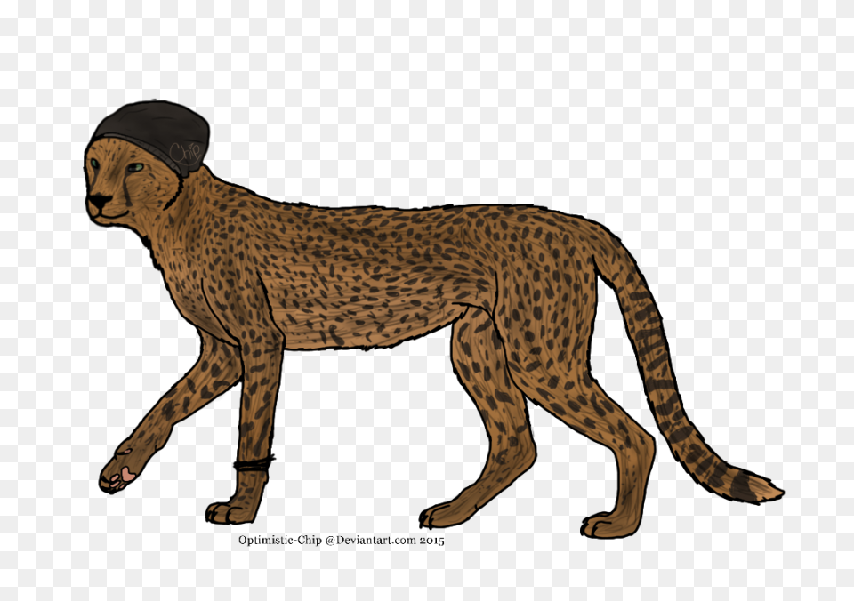 Fursona Pins - Cheetah Asexual