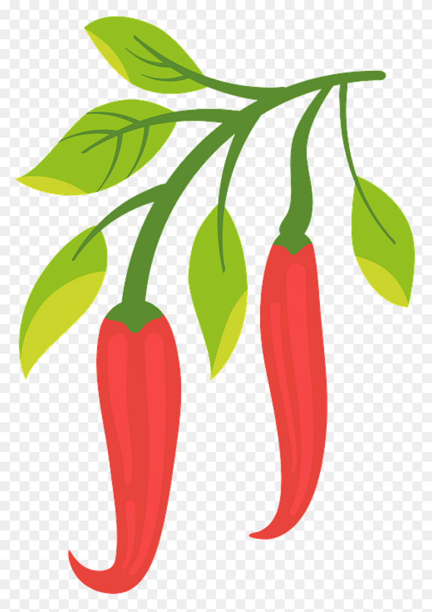 Chili Clipart Kid 5 - ClipartFlare