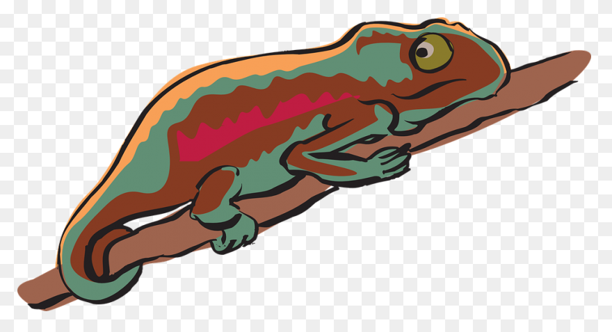 Chameleon Stickers - Free Animals S