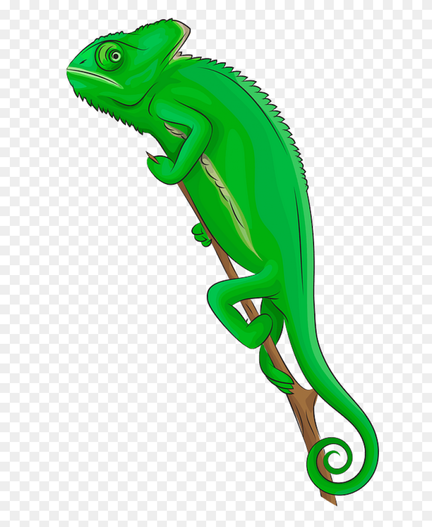 Chameleon Stickers - Free Animals S