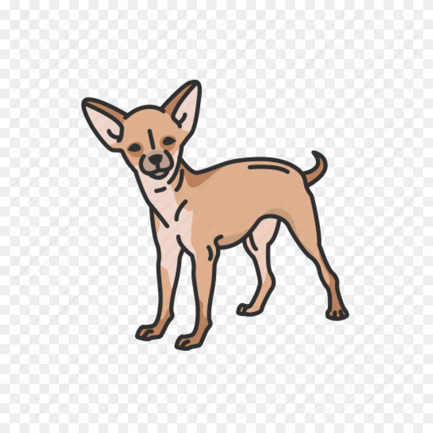 Dog Chihuahua Puppy - Free Image On