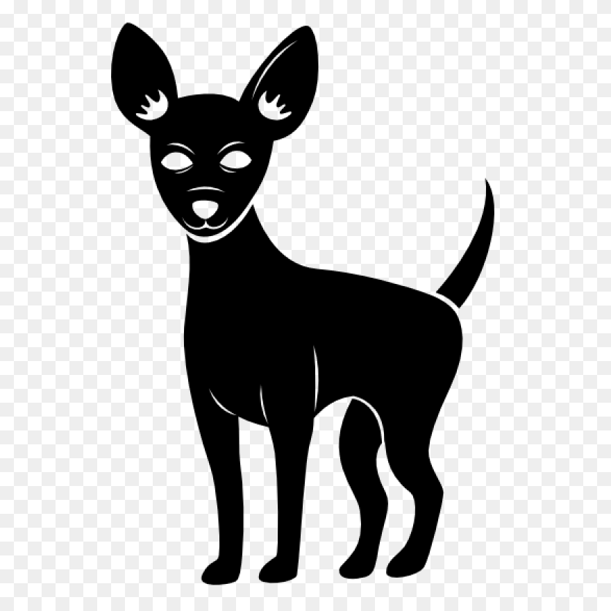 Dog Chihuahua Puppy - Free Image On