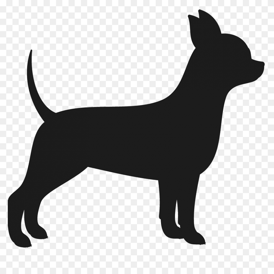 Dog Chihuahua Puppy - Free Image On